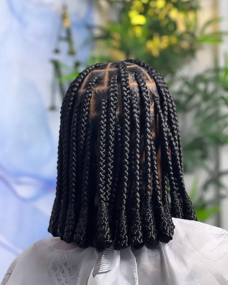 Box braided bob